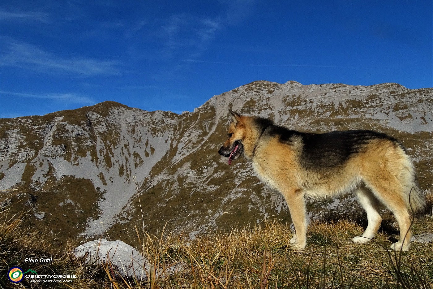 84 Dori osserva la valle sottostante .JPG